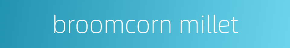 broomcorn millet的同义词