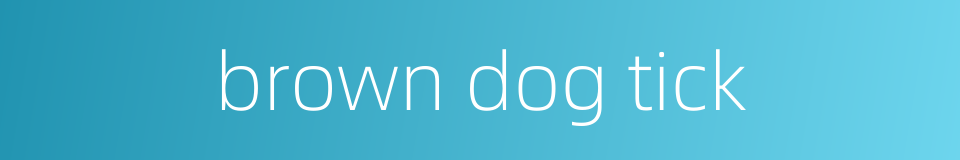 brown dog tick的同义词