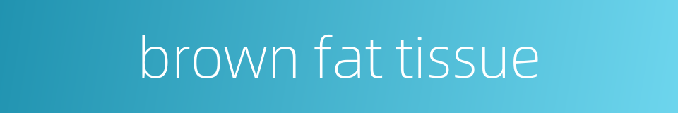 brown fat tissue的同义词