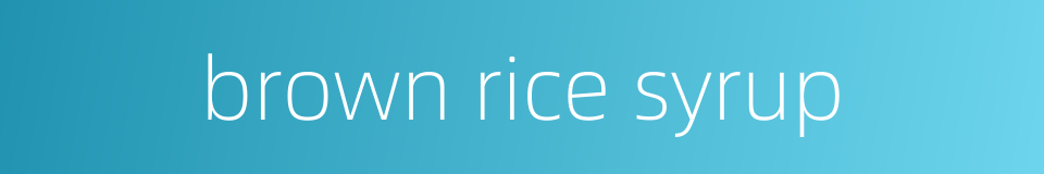 brown rice syrup的同义词