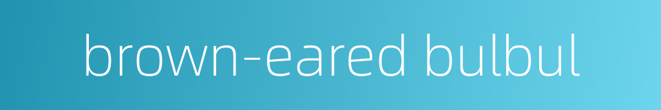 brown-eared bulbul的同义词