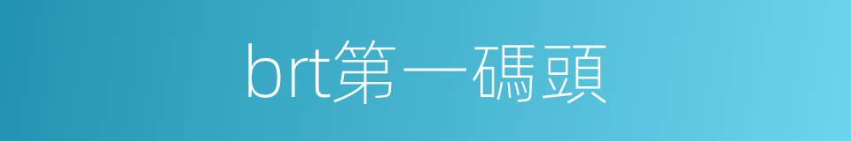 brt第一碼頭的同義詞