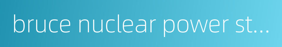 bruce nuclear power station的同义词