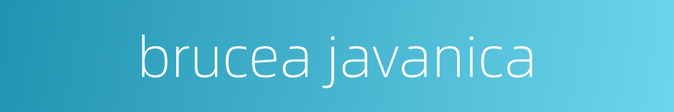 brucea javanica的同义词