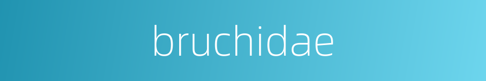 bruchidae的同义词