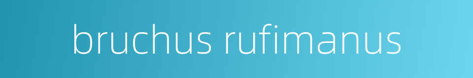 bruchus rufimanus的同义词