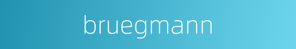 bruegmann的同义词