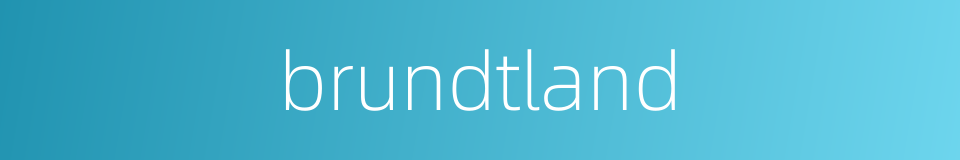 brundtland的同义词