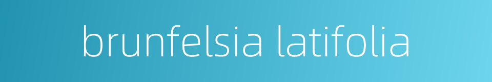 brunfelsia latifolia的同义词