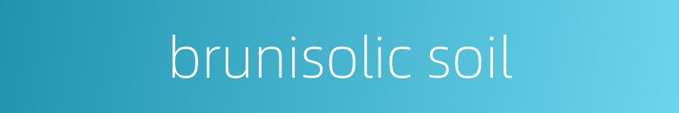 brunisolic soil的同义词