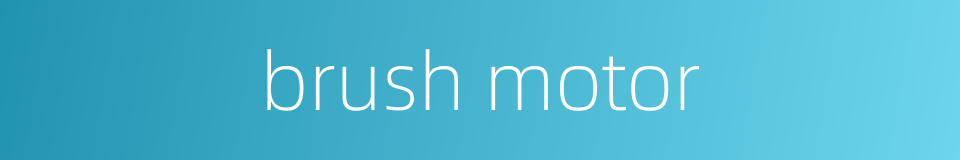 brush motor的同义词