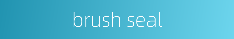 brush seal的同义词