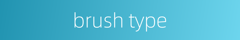 brush type的同义词