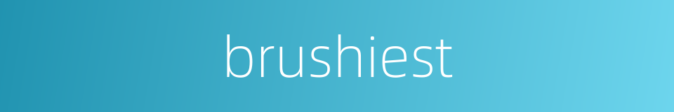 brushiest的同义词
