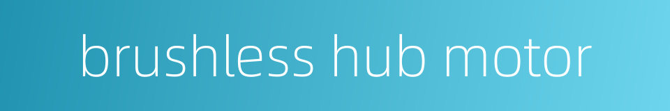 brushless hub motor的同义词