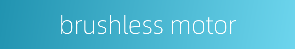brushless motor的同义词