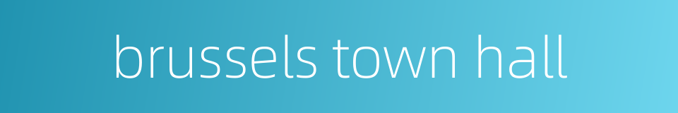 brussels town hall的同义词