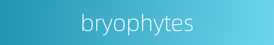 bryophytes的同义词
