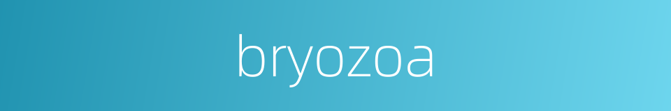 bryozoa的同义词