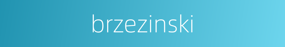 brzezinski的同义词