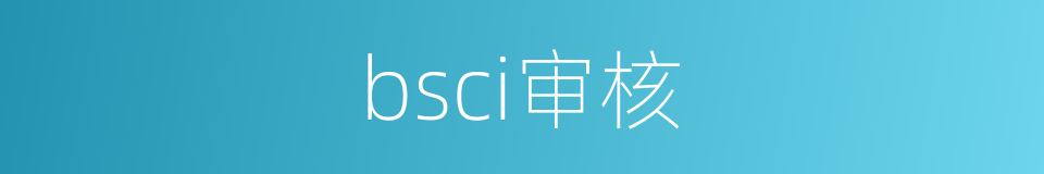 bsci审核的同义词