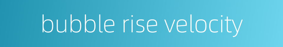 bubble rise velocity的同义词