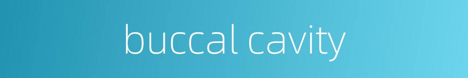 buccal cavity的同义词