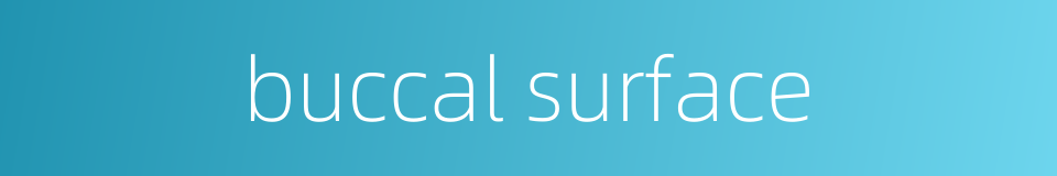 buccal surface的同义词