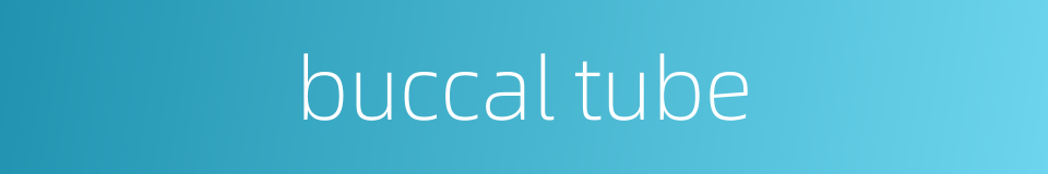 buccal tube的同义词