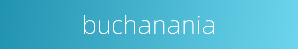 buchanania的同义词