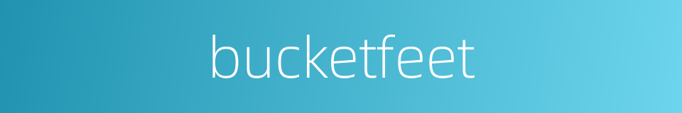 bucketfeet的同义词