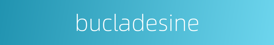bucladesine的同义词