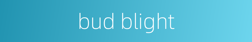 bud blight的同义词