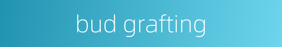bud grafting的同义词
