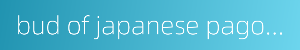 bud of japanese pagoda tree的同义词