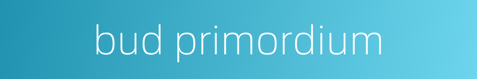 bud primordium的同义词