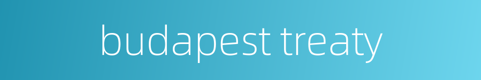 budapest treaty的同义词