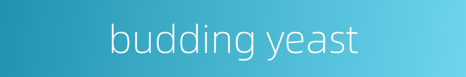 budding yeast的同义词