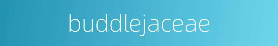 buddlejaceae的同义词
