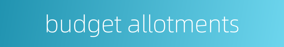 budget allotments的同义词