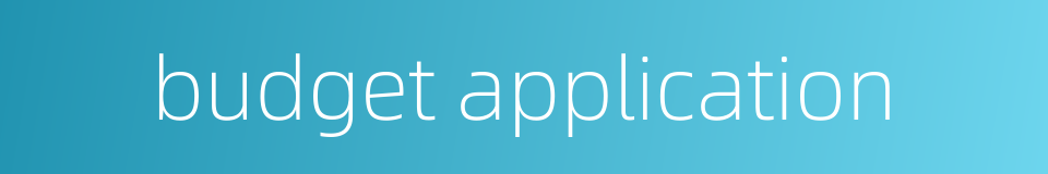 budget application的同义词