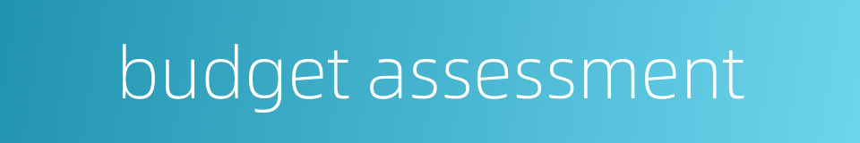 budget assessment的同义词