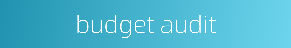 budget audit的同义词