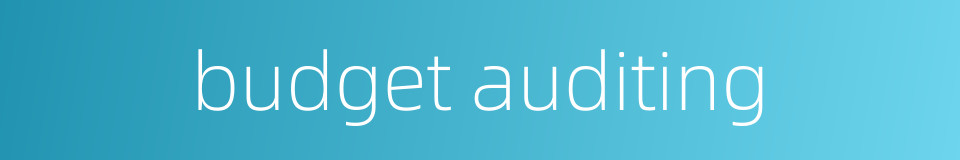 budget auditing的同义词