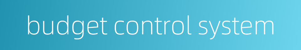 budget control system的同义词