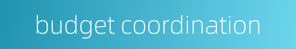 budget coordination的同义词