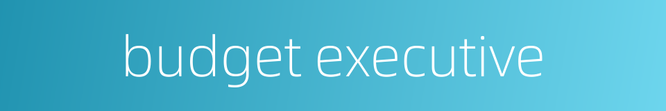budget executive的同义词