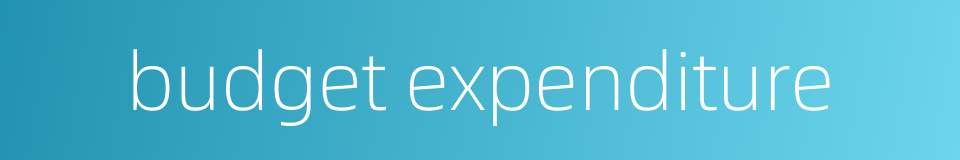 budget expenditure的同义词