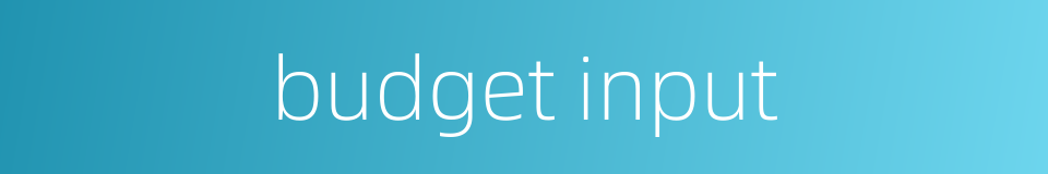 budget input的同义词
