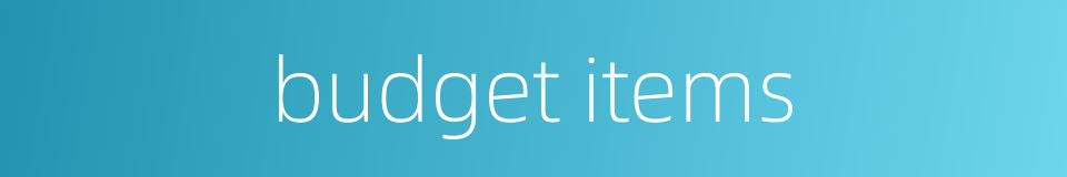 budget items的同义词